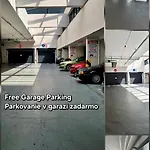 Apartment Alfa Free Garage Parking Ac Near Center *