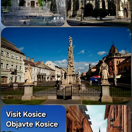 Alfa Free Garage Parking Ac Near Center Lägenhet