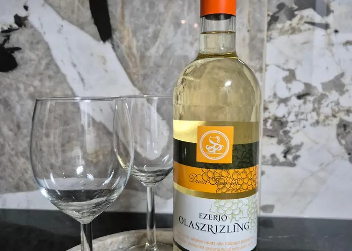 Apartment Alfa Free Garage Parking Ac Near Center