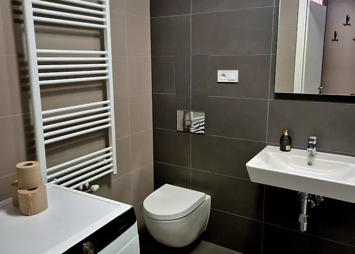 Apartment Alfa Free Garage Parking Ac Near Center *