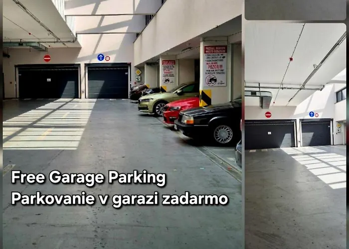 Apartment Alfa Free Garage Parking Ac Near Center *